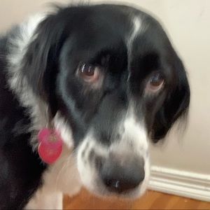 Meet your Posher, Kevin